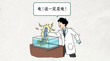 在电被发明之前，电鳗叫什么？